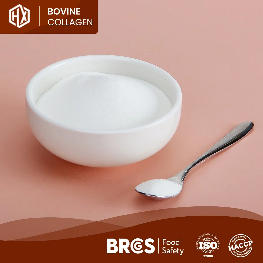 Haoxiang Sample Available Bovine Hide Hydrolyzed Collagen Peptides Quality Supply Food Grade Bovine Collagen Powder China Factory Hydrolyzed Collagen