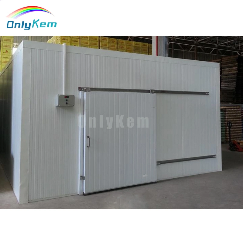 Sea Food Storage Refrigeration System Walk in Freezer Chiller Room