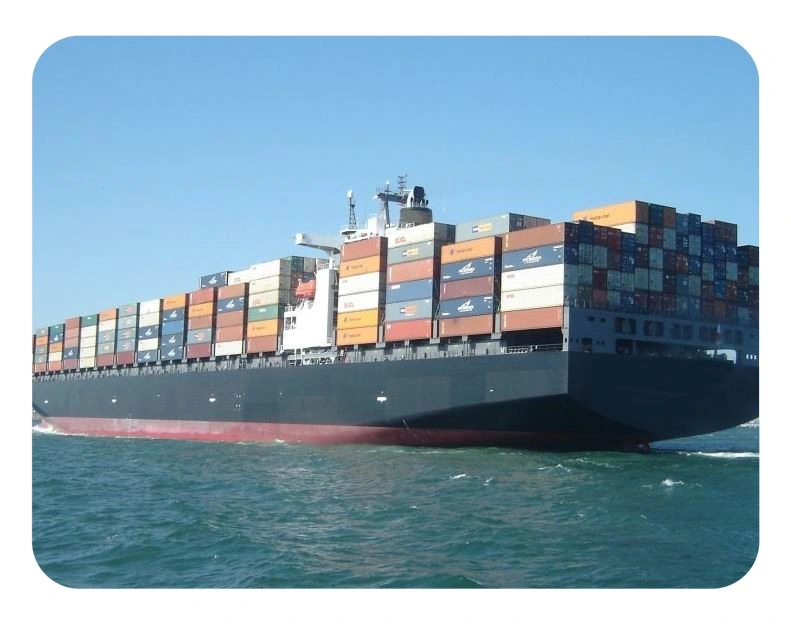 20 FT 40 Hq Container Professional Reliable Cargo Service Ocean Freight Shipping