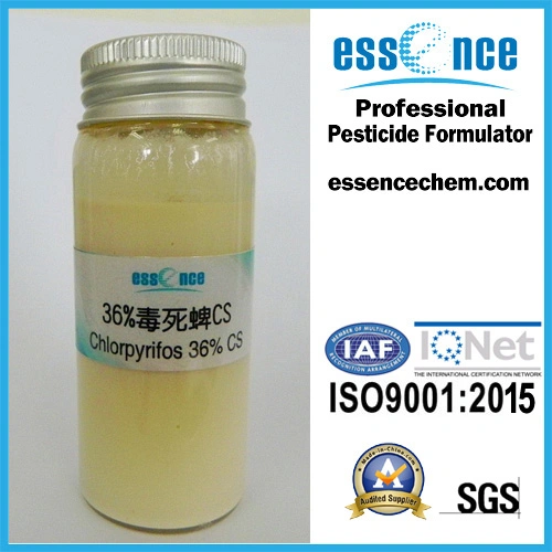 CAS: 2921-88-2 Agricultural Chemicals Insecticide Pest Control 48% Ec Chlorpyrifos