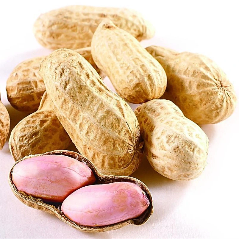 Natural Peanut Shell Extract Luteolin 98% Luteolin Powder with Best Price