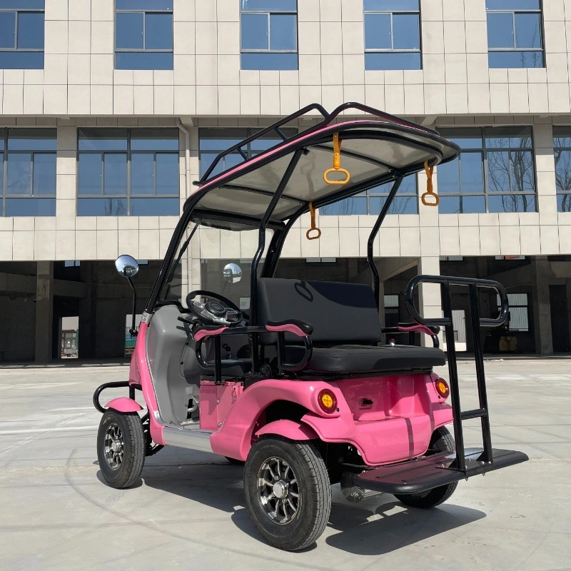 Pink 2 Doors Mini 2 Seaters Easy Travel Electric Scooter Golf Car