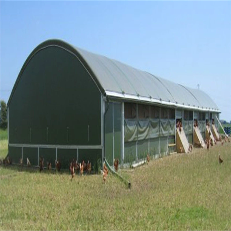 Las aves de corral arrojar granja avícola la construcción de casa para pollos de 10000.