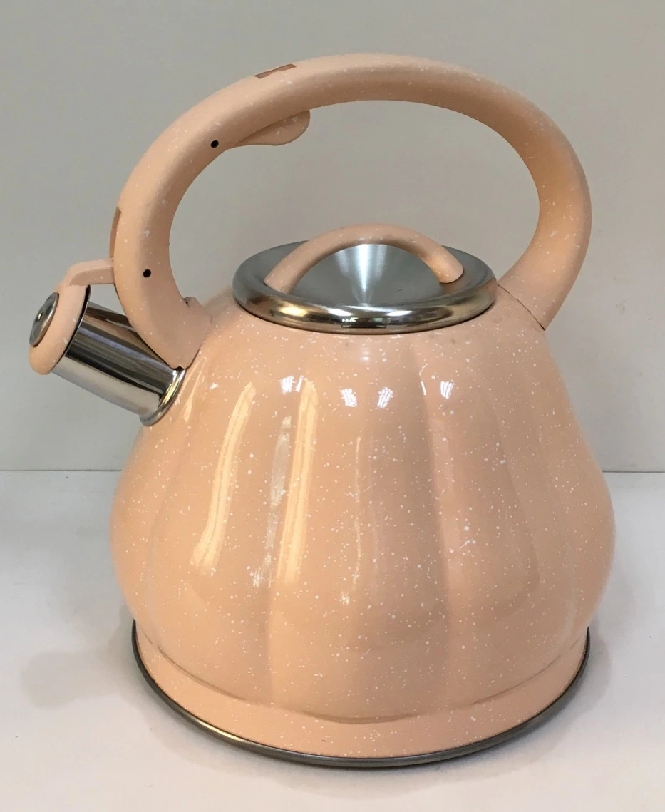 Hervidor de agua Olla de acero inoxidable de 3,0 L de la salud silbido teteras utensilios de cocina