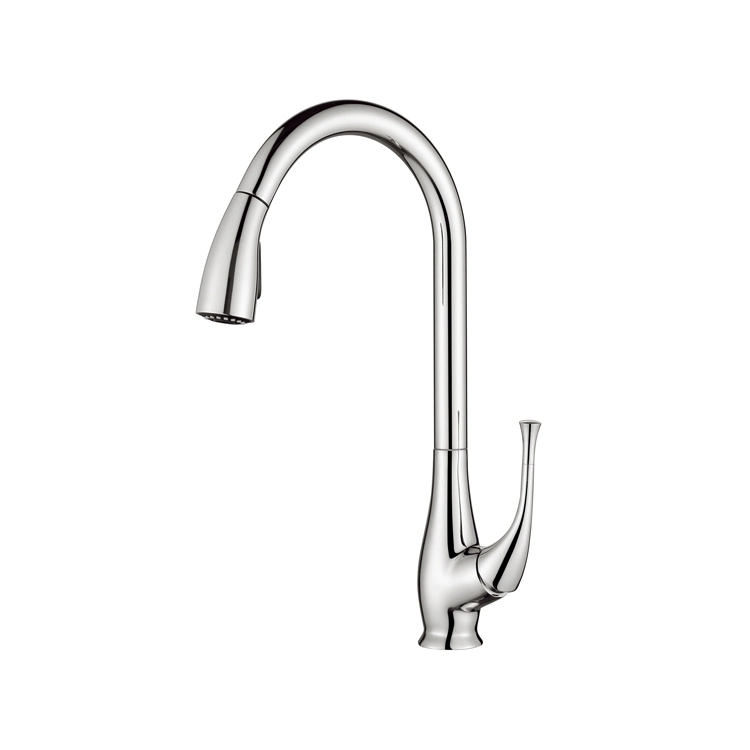 Chromed Functions Pull Down Sprayer Flexible Swivel Bottle Styles Kitchen Faucet