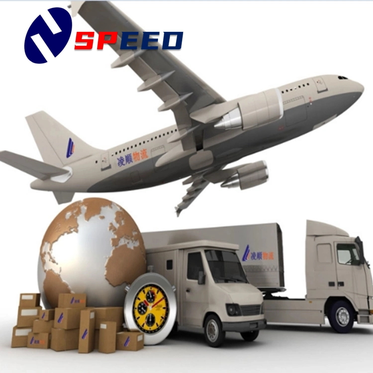 Fast and Reliable Air/Sea Freight Forwarder Shipping Agent From China to USA