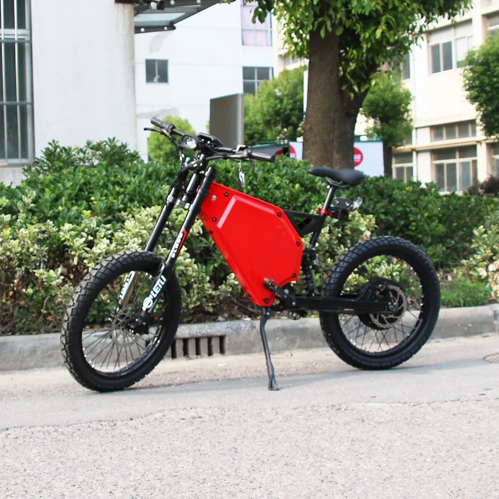 5kw Mountain Ebike Electric Chopper Bike with CE