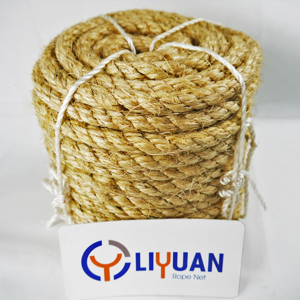 Wholesale/Supplier High Density Europe Style Home Textile Woven Colored Sisal Rope