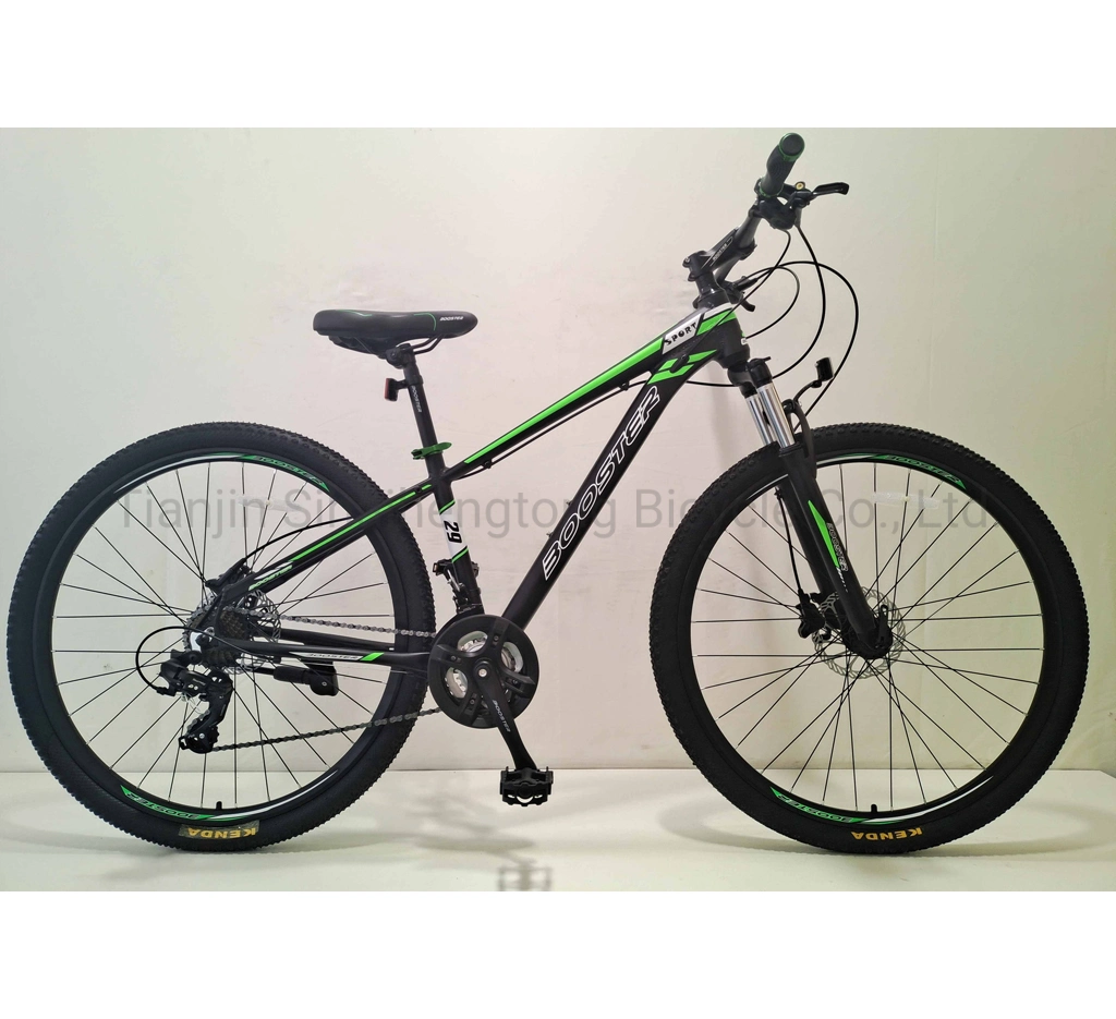 29" 24speeds Hydraulic Disc Brake MTB Bike 29inch Wheels Alloy Other Bike