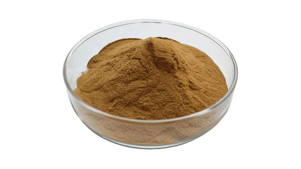 Apple Extract Powder Food and Beverage Fruit Extract Polyphenol 10% Malus Domestica