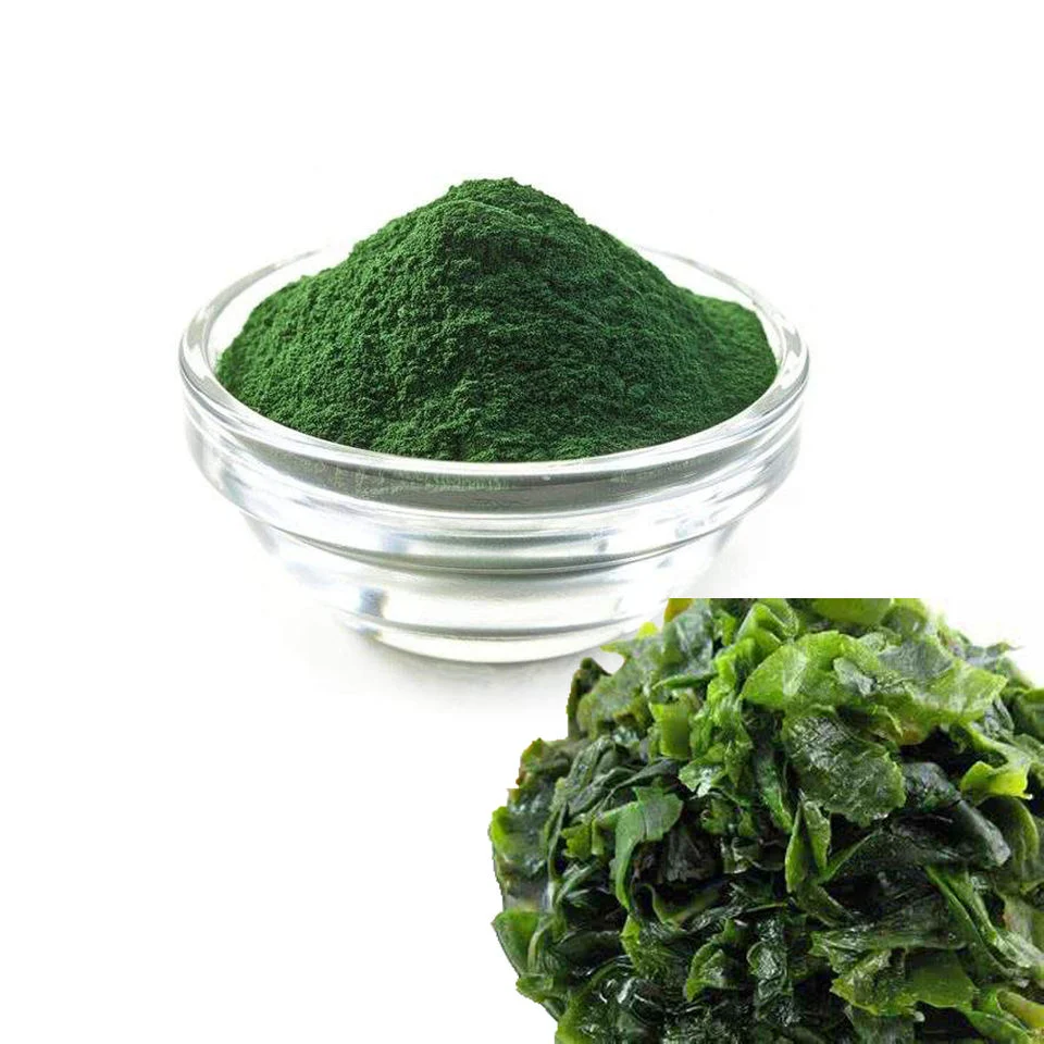 100% Natural Spirulina Extract for Health Care Product