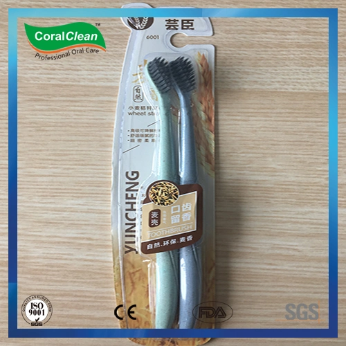 45 Degrees Angle Head Adult&prime; S Toothbrush