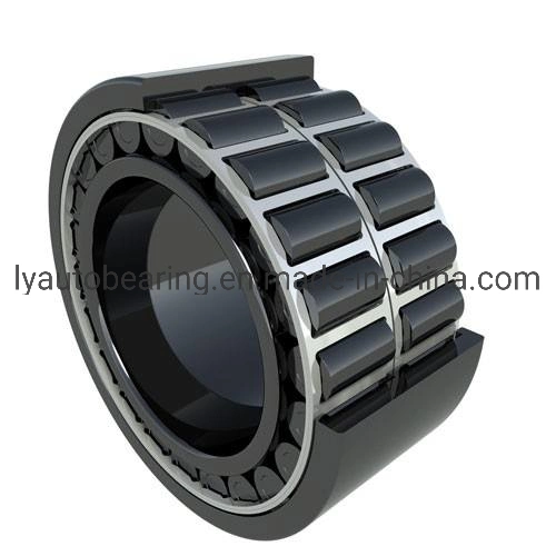 Auto Parts Double Row Cylindrical Roller Bearing (3182192K/ NN3092K/W33) Ball Bearing