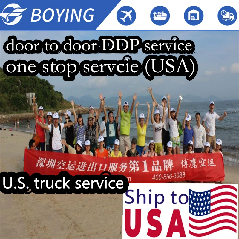 Door to Door Cargo Consolidation Services with Good From China Sea Freight Shipping Agent to Worldwide