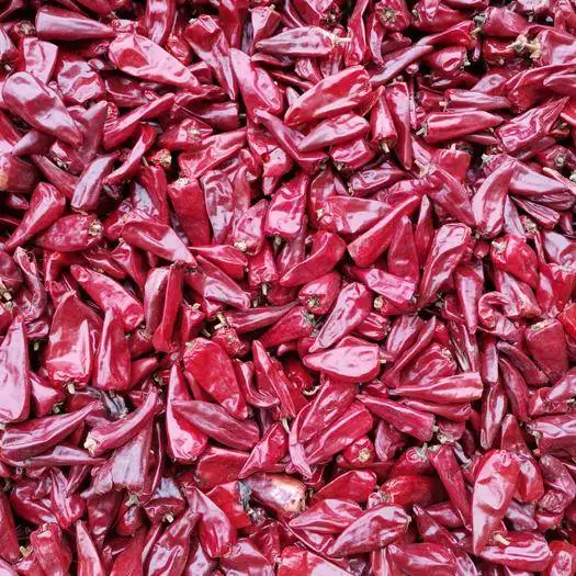 Export Dried Red Whloe Chili Beijing Red Chili