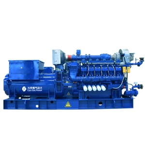 Liyu New Energy 1200kw Easy Maintenance Low Voltage 400V Biomass Gas Power Generator Set Manufacturer