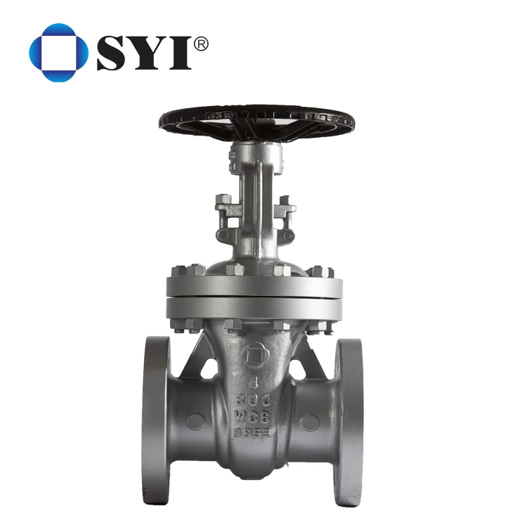 ANSI API 600 OEM Water Gas Flanged Cast Steel SS304 SS316 Gate Valve