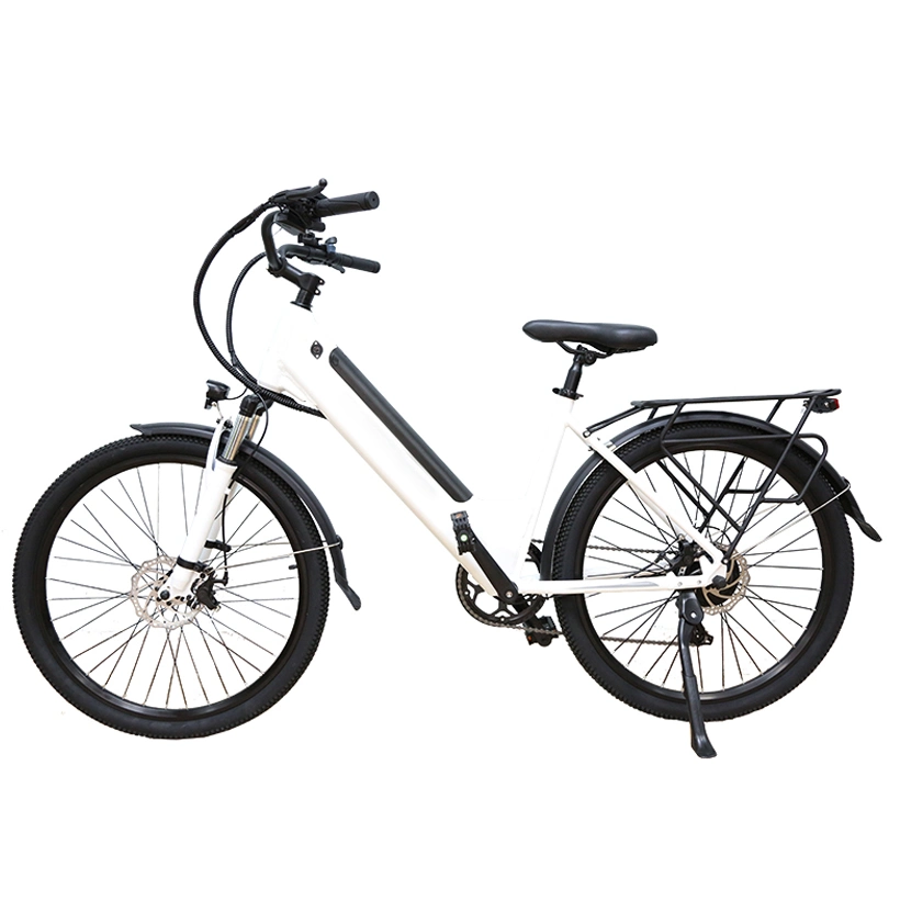 Doble disco freno de bicicleta sin escobillas China bicicletas de tierra bicicleta eléctrica EBike de motor
