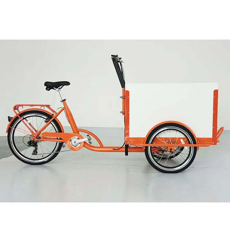 24" Child Transport Electric Bike 3 Wheels Cargo Ebike 36V 250W Electric Trike Family Cargo Bike 25km/H with Pedal Assistant