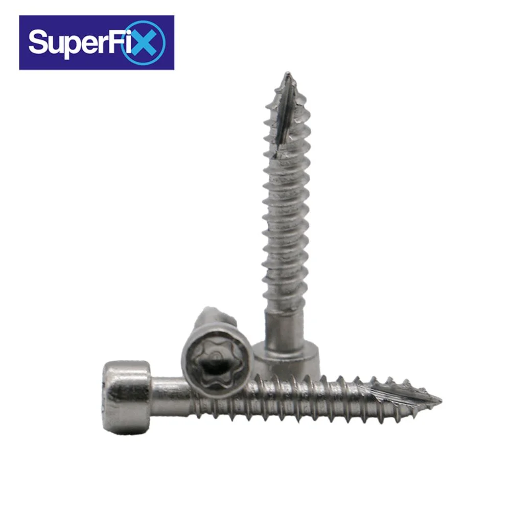 SS304/316 Stainless Steel Cup/Cap Torx Socket Self Tapping Screw/Wood Screw