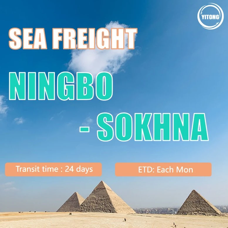 China Shipping to Egypt Sea Freight From Guangzhou to Sokhna China Shipping to Sokhna Price Logistics to Egypt Air Shipping From China to Cairo