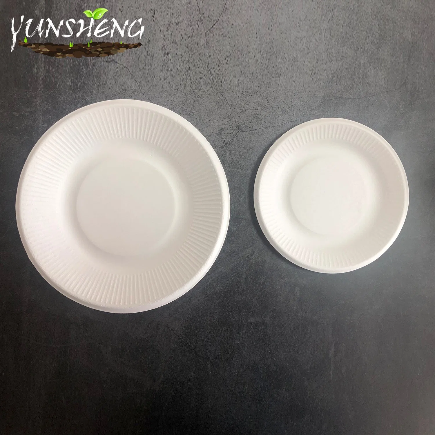 Microwavable Disposable Sugarcane/Wheat Straw/Bamboo Pulp/Firber 100% Compostable Tableware