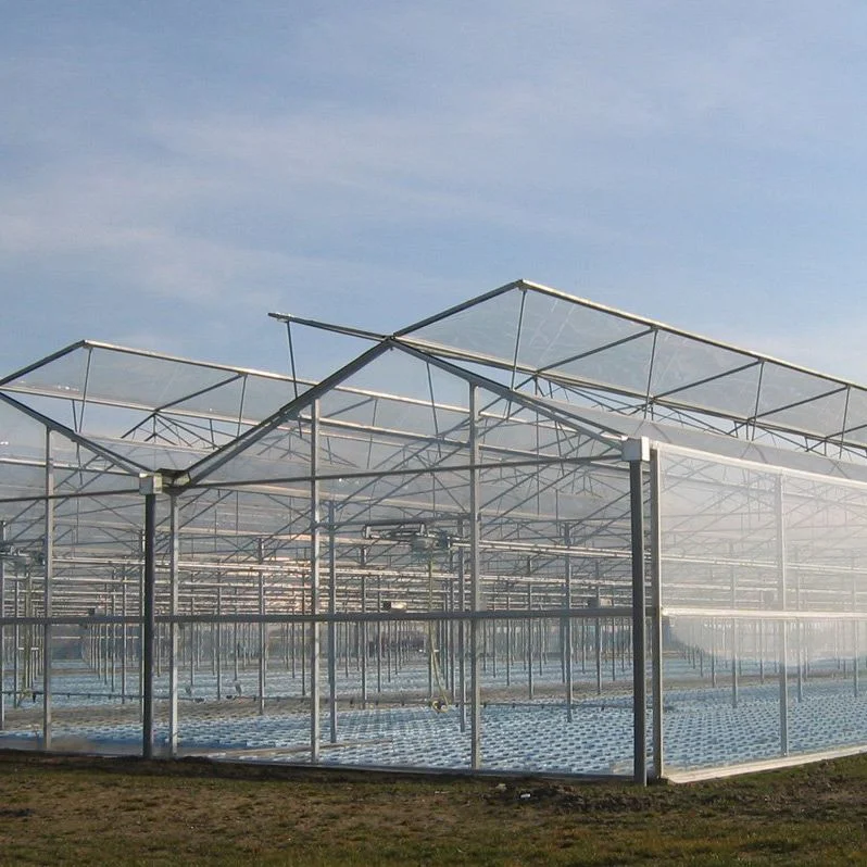 2023 High Performance Polycarbonate Greenhouse with Light Deprivation System