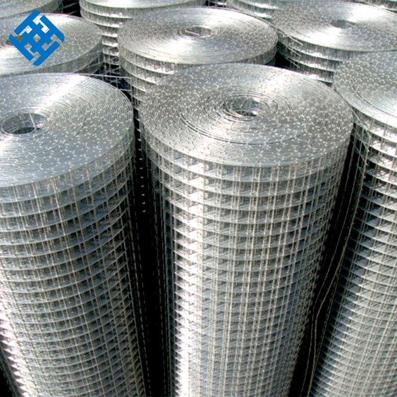 1""Electro Galvanized Welded Wire Mesh