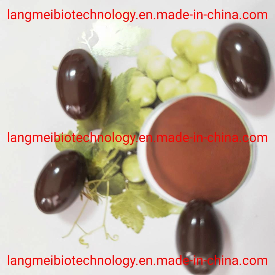 Antioxidant Supplement Grape Seed Extract Capsules in Beauty & Personal Care