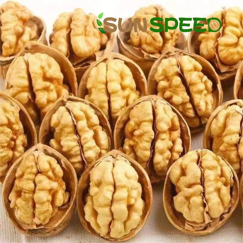 China Wholesale/Supplier Walnuts185 in Shell Kernel Thin-Skin Walnut