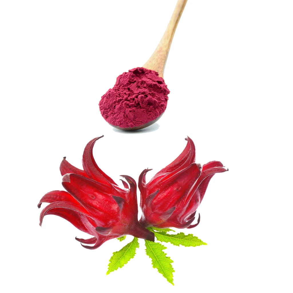 Organic Hibiscus Flower Powder cGMP Factory Wholesale/Supplier Dried Hibiscus Powder Instant Roselle Hibiscus Powder