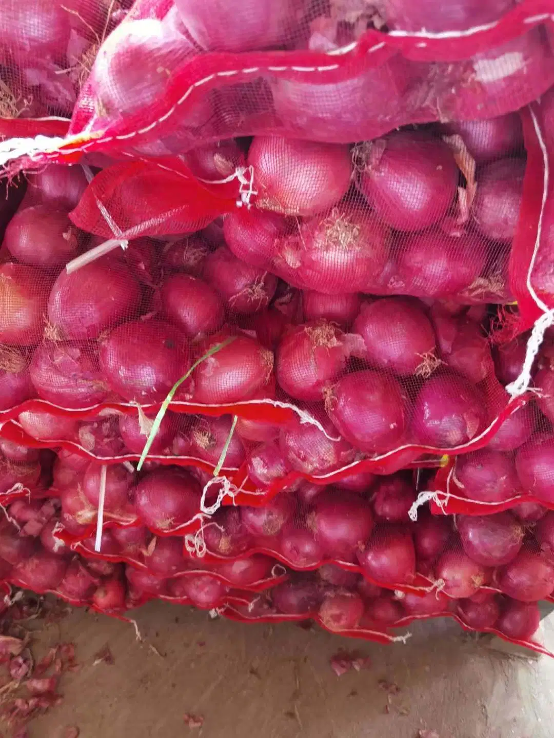 2023 Chinese Best Großhandel Hohe Qualität Ernte Rote Zwiebel Gelb Zwiebel Gansu Henan Shandong Ursprung Zwiebel