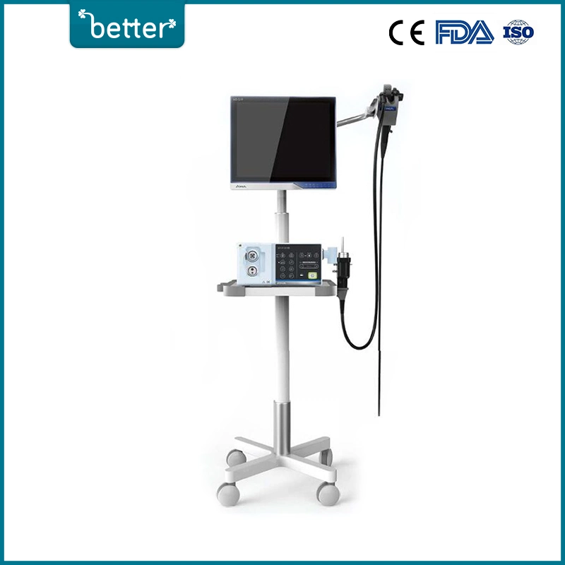 High Quality Endoscopy Solution Vet-Bor1200