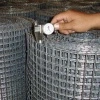 Galvanized or Black Welded Wire Mesh in Roll / Welded Panel and Roll