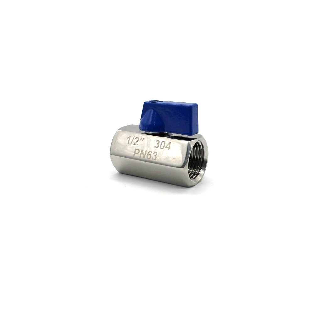 SS304/SS316L Stainless Steel Mini Ball Valve with Handle