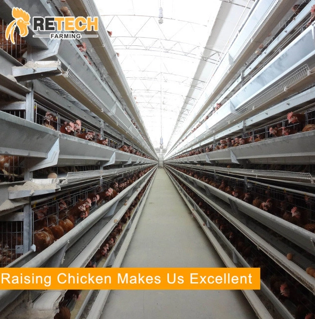 Popular Automatic Layer Cage Chicken Coop Farm Equipment for Kenya