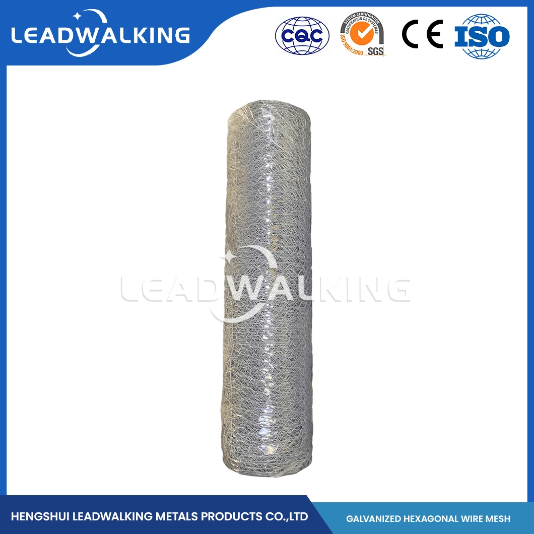 Leadwalking China Woven Type 304 316L Stainless Steel Wire Mesh Manufacturers Copper Wire 50-200cm Height Hexagonal Plastic Coated Steel Wire Hexagonal Net