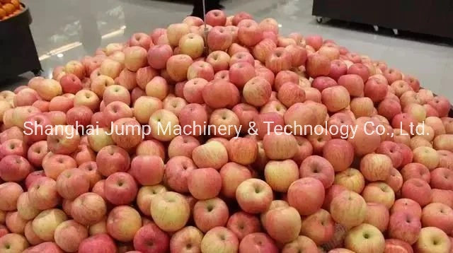 8000-12000bph бутилированные Apple игристые Juice обрабатывая машины на распродаже