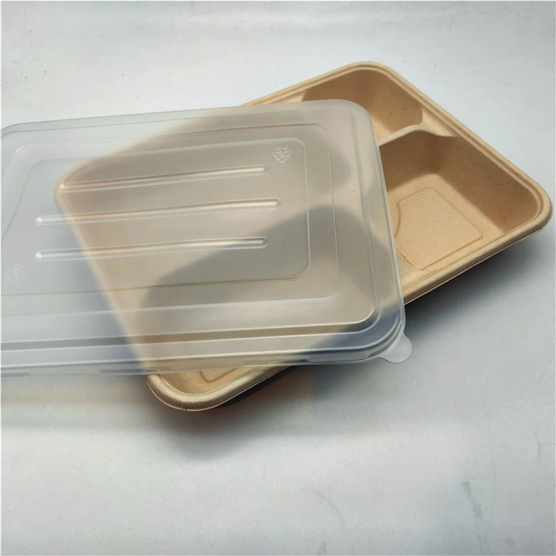 Biodegradable Practical Non-Toxic Cornstarch Tray Packing Box