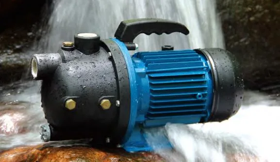 Mini Electric Water Pump /Stainless Steel Jet Pump/Vortex Pump