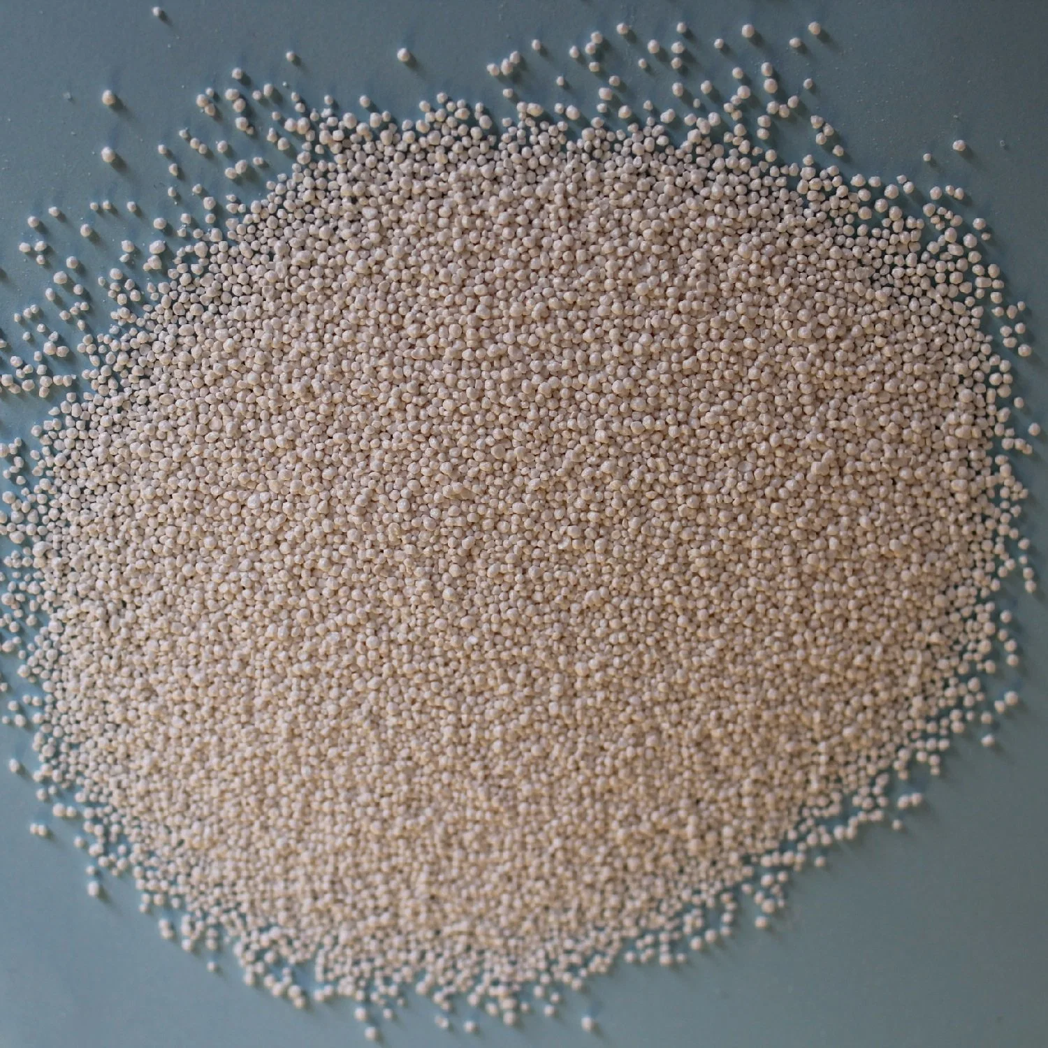 Potassium Sorbate Food Grade 99% C6h7ko2