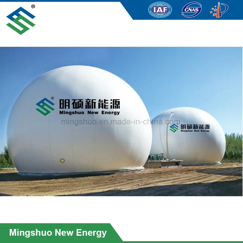 Constant Pressure Membrane Gas Dome Biogas Balloon Gas Storage Tank