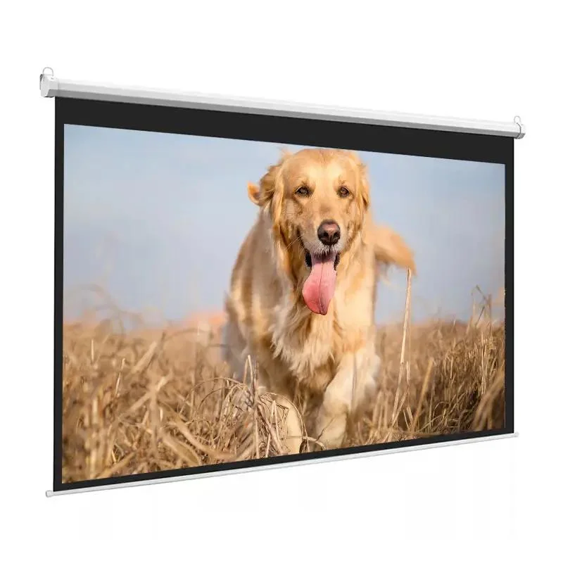 Pull Down Motorized Projection Screen, Electric Screen with Remote Control