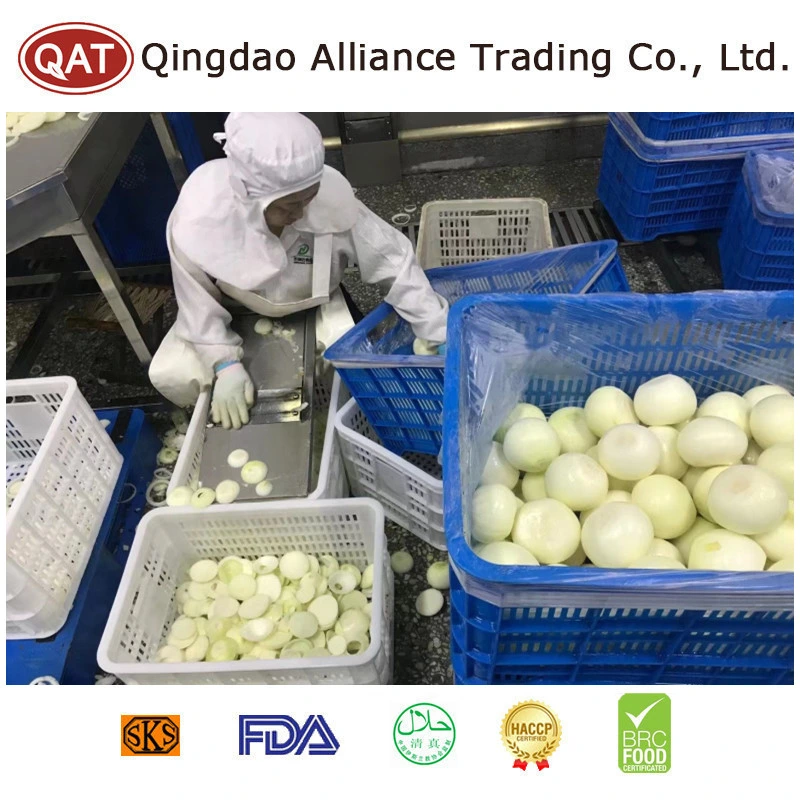 China congelado IQF la cebolla en dados o rodajas de cebolla blanca con 10*10mm