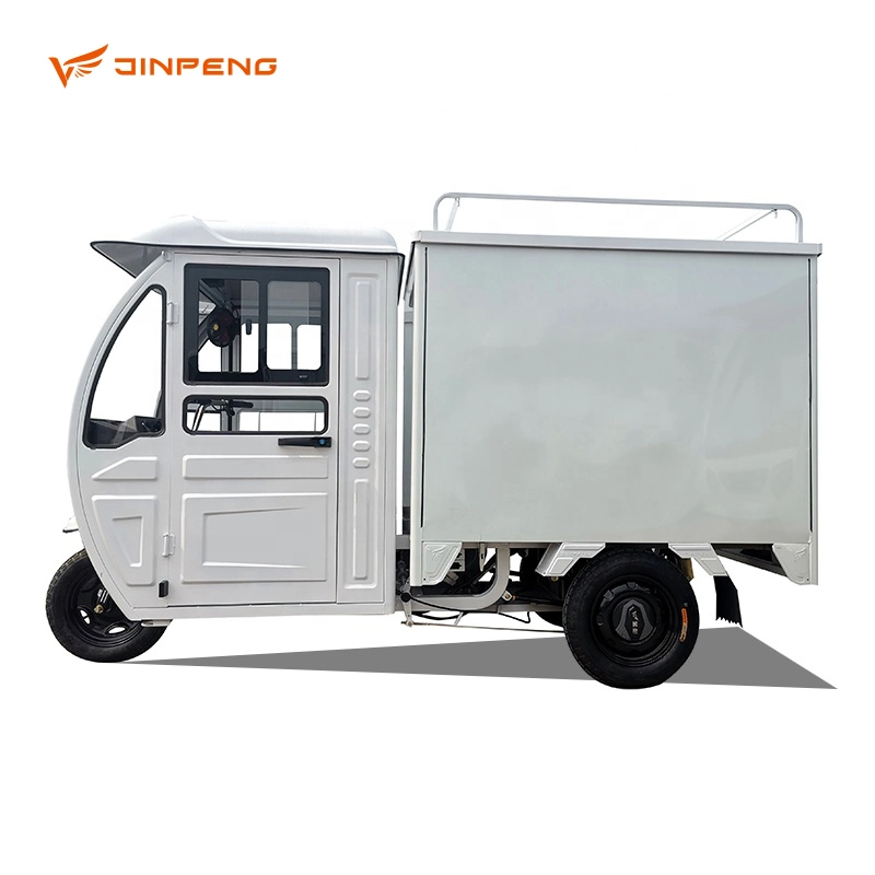 Fully Enclosed Electric Cargo Trike Algeria