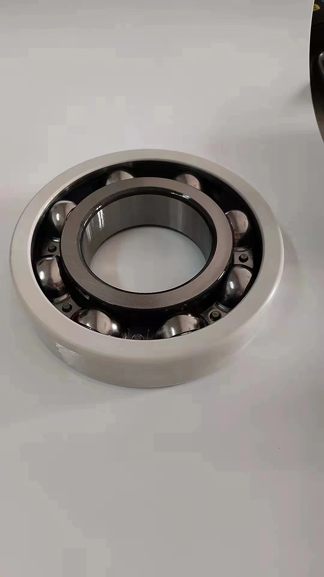 Bearing Insulation 6218c3vl0241 Insulated Bearing an Insulation Bearing with a Ceramic Coating Insulators with Insulation Material