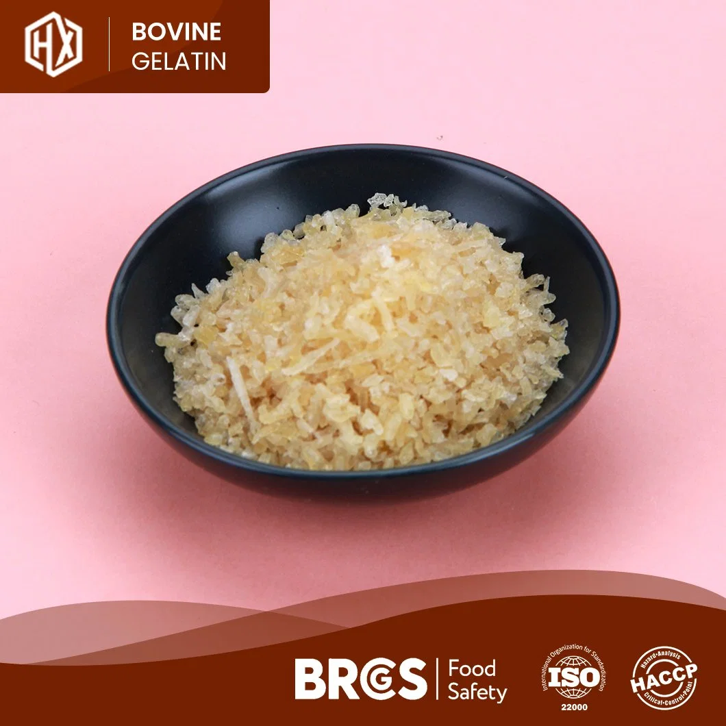 Haoxiang 260 Bloom Food Grade Bovine Skin Gelatine Powder High China Qualität Pharma Bovine Haut Gelatin Hersteller bereit zu versenden Hydrolysiertes Gelatin Für Rinderhaut