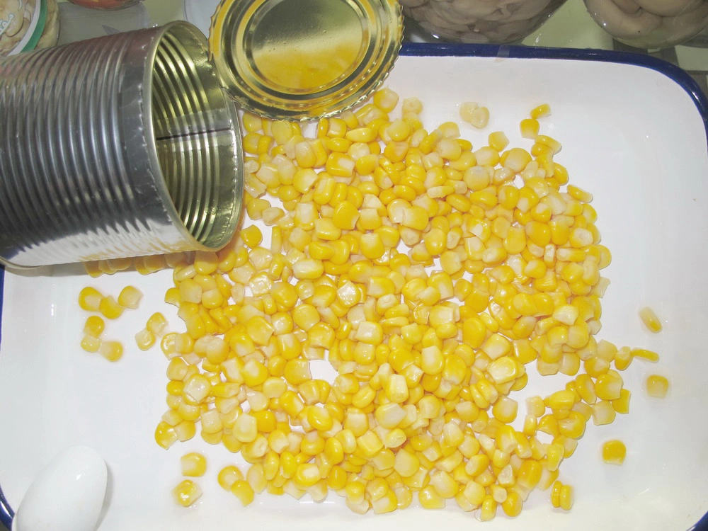 Canned Fresh Sweet Corn Food From New Season