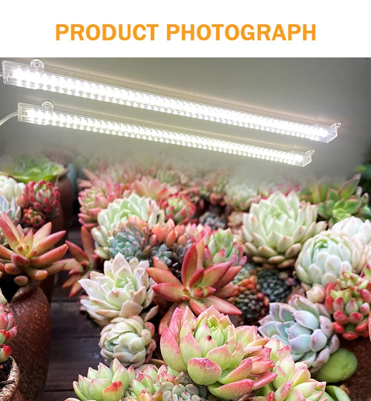 Drop Shipping Diming Timing Function White Full Spectrum 10W Strip Cabinet Grow Light LED Full Spectrum