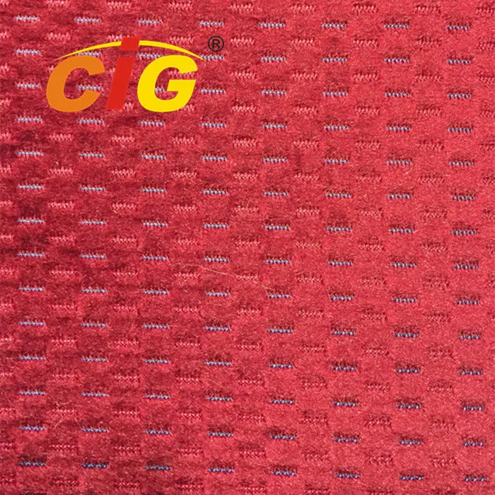 Bus Fabric/Warp Knitting Fabric/Weft Knitting Fabric